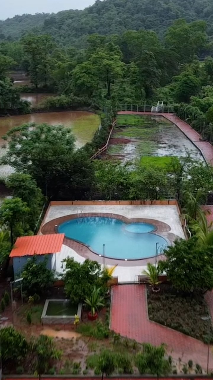 Aerial view of the swimming pool and lush lawns